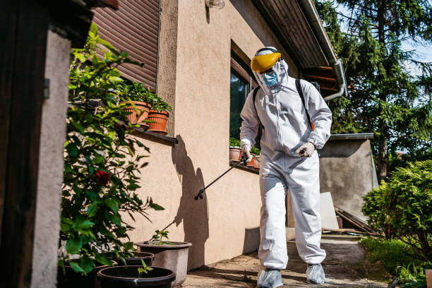 Best Exterminator Services  in La Cienega, NM