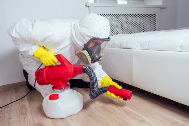 Best Pest Removal Services  in La Cienega, NM